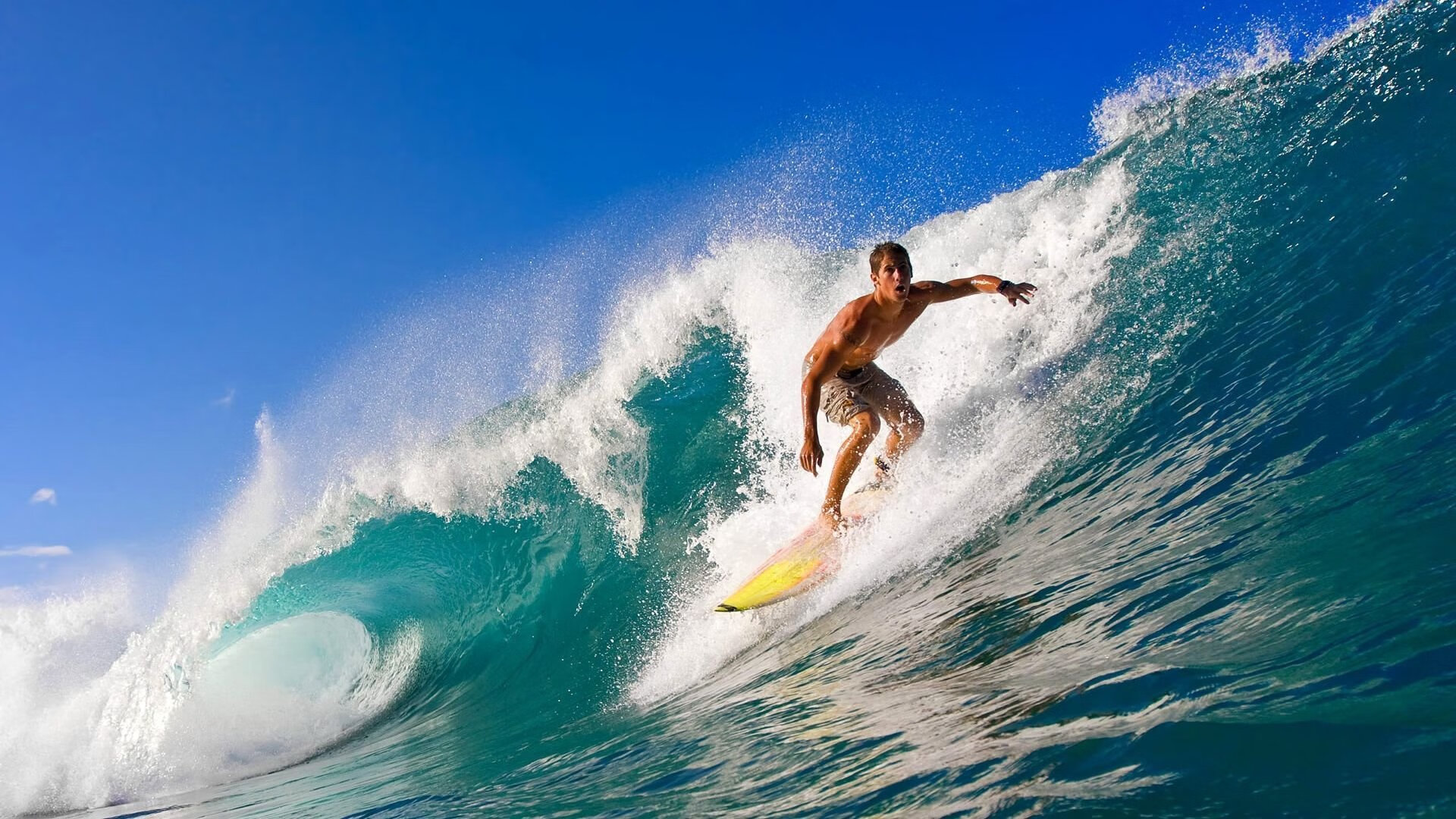 青少年体育人才选拔标准,青少年体育锦标赛