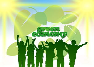 mk体育网页-青年选手成长路径日益明确，青年成长成才计划